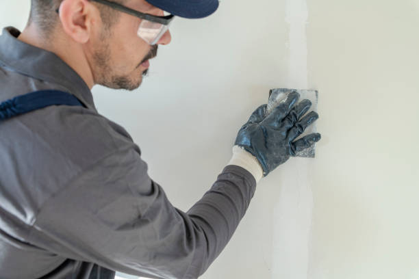 Environmental Consulting for Mold Prevention in Canterwood, WA