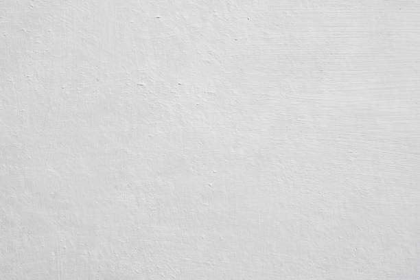 Mold Documentation for Insurance Claims in Canterwood, WA