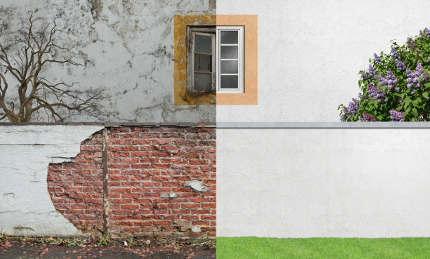 Best Mold Damage Restoration  in Canterwood, WA