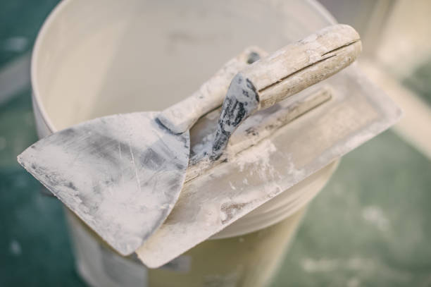 Best Industrial Mold Remediation  in Canterwood, WA