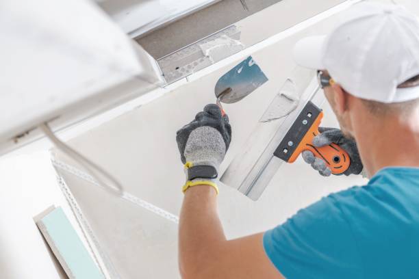Best Mold Prevention Services  in Canterwood, WA